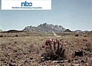 nbc, QSL 1980